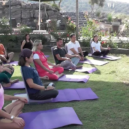 بيت خشبي Olive Garden Retreat *