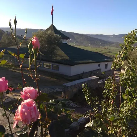 بيت خشبي Olive Garden Retreat
