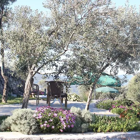 Olive Garden Retreat * دورت تيبي