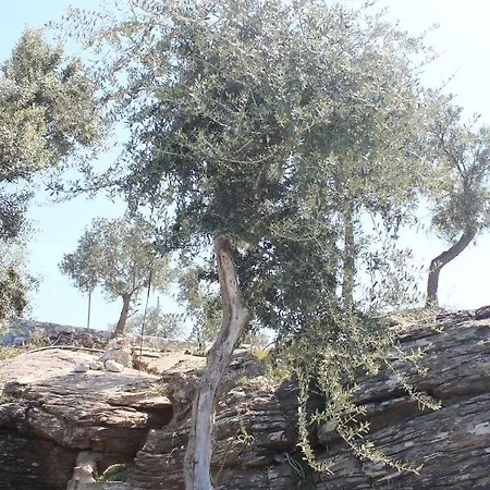 بيت خشبي Olive Garden Retreat *