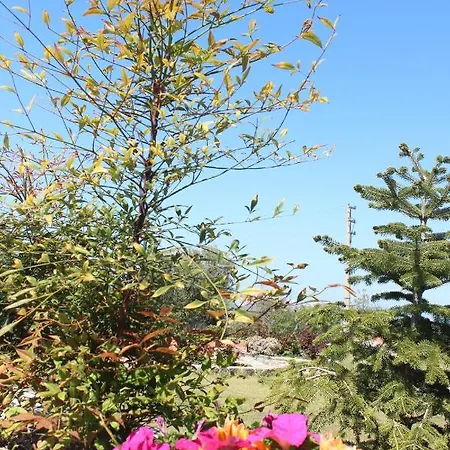 بيت خشبي Olive Garden Retreat *